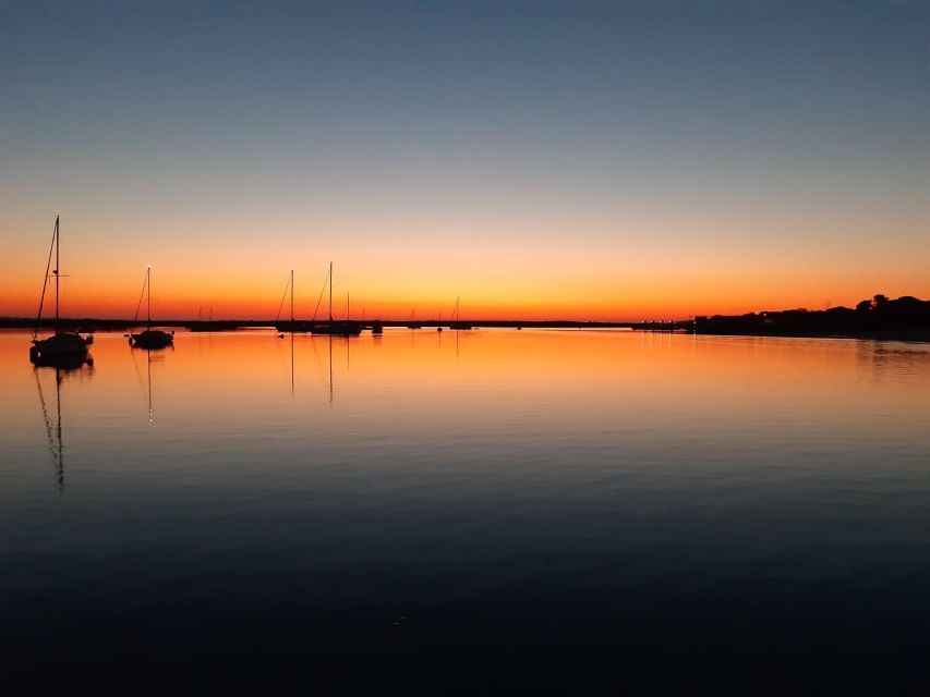 Faro: Ria Formosa Sunset Nature Boat Tour - Key things I’d watch for on this Faro sunset boat tour