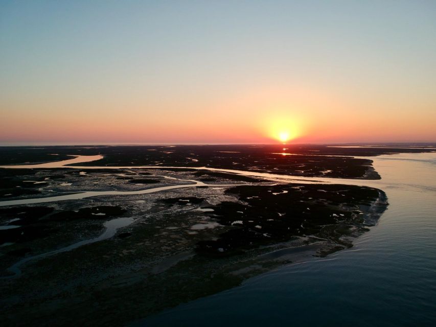 Faro: Ria Formosa Sunset Nature Boat Tour - Parque Natural da Ria Formosa: where the birds do their thing