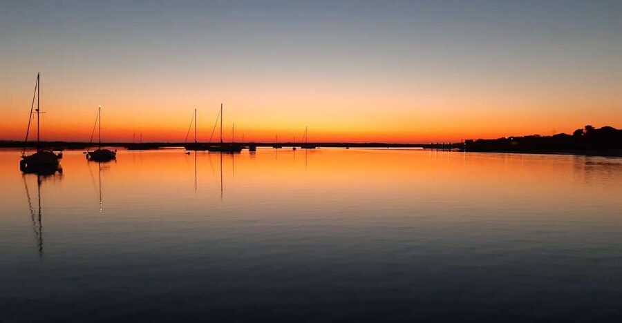 Faro: Ria Formosa Sunset Nature Boat Tour - Wildlife spotting: what to expect when you’re watching with guidance