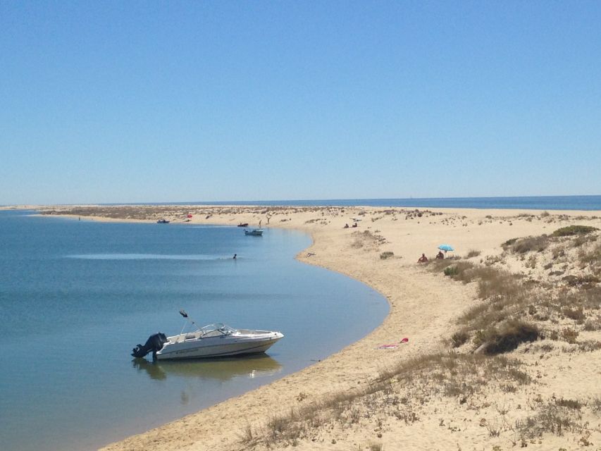 Faro: Speed Boat Tour - Ria Formosa Natural Park by Boat: What You’re Actually Seeing