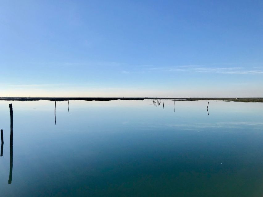 Faro: Speed Boat Tour - The Desert Island Stop: Praia da Ilha Deserta Moments