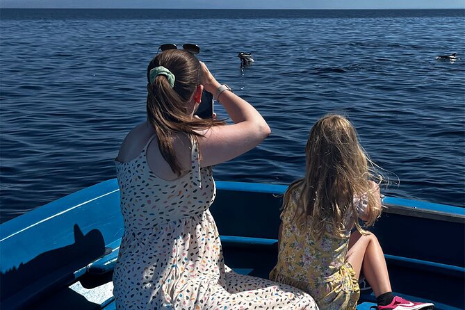Fishing, Snorkelling & Dolphin Boat Tour - Dolphin and whale watching: exciting, but treat it as a bonus