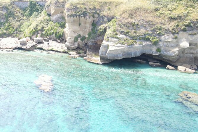 Fishing, Snorkelling & Dolphin Boat Tour - Coastal fishing: what you’ll do and what matters most