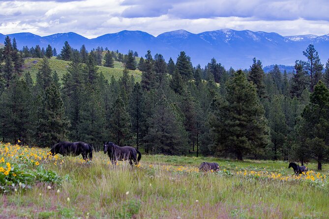 Flathead Lake Private Sunset Wild Horse Island Boat Tour - Wildlife Watching Without the Stress