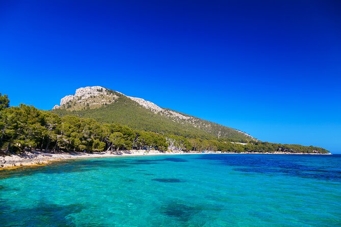 Formentor with boat trip + local market - Why This Formentor Day Feels Like a Smart North-Mallorca Shortcut