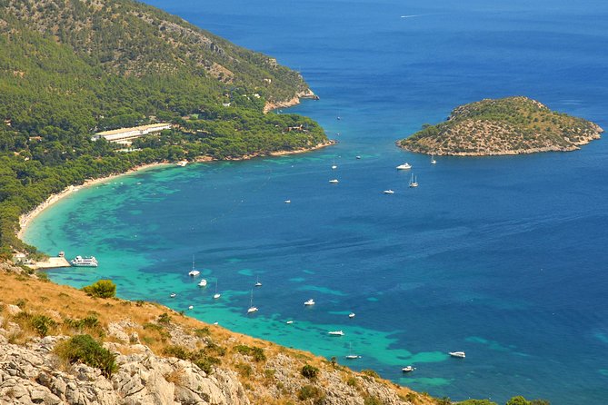 Formentor with boat trip + local market - Formentor Playa: Swim Time, Shade, and the Jellyfish Reminder