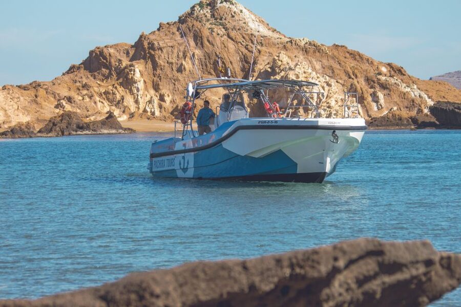 Fornells: 3-Hour Boat Tour Along Menorcan Coast - A Fornells boat ride that fits real-life timing