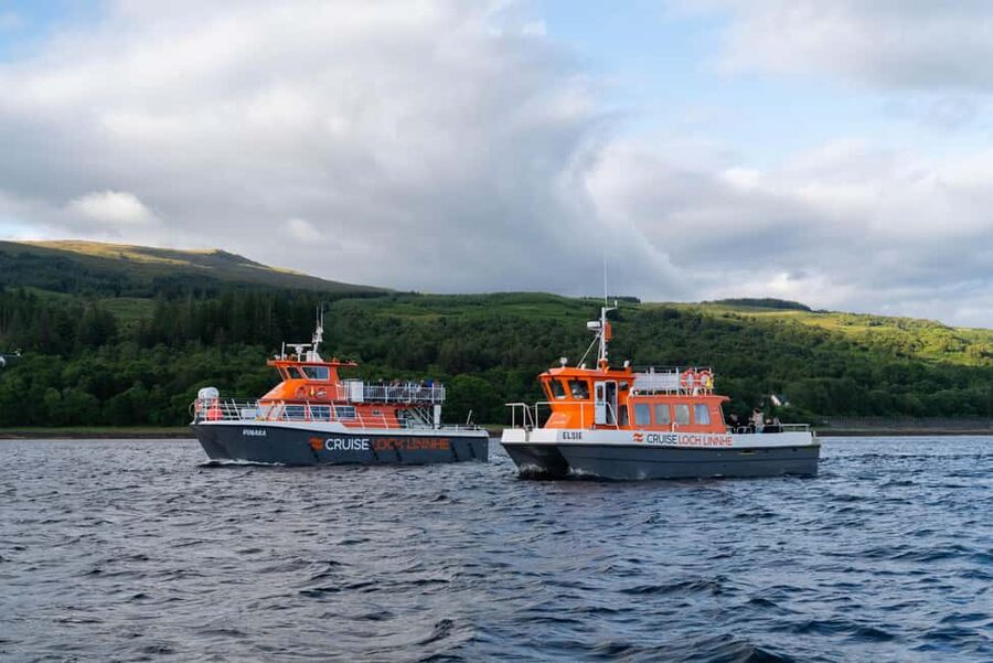 Fort William: Seal Island Boat Tour - Key things you’ll enjoy on the Fort William seal cruise