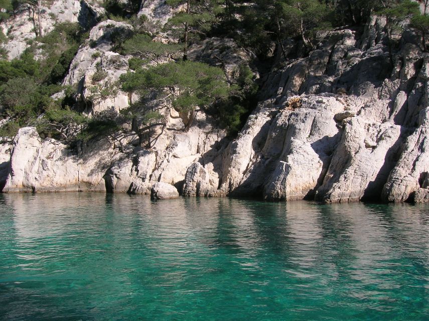 From Aix: Cassis Boat Ride & Provence Wine Tasting Day Tour - Who this tour is best for (and who should skip)