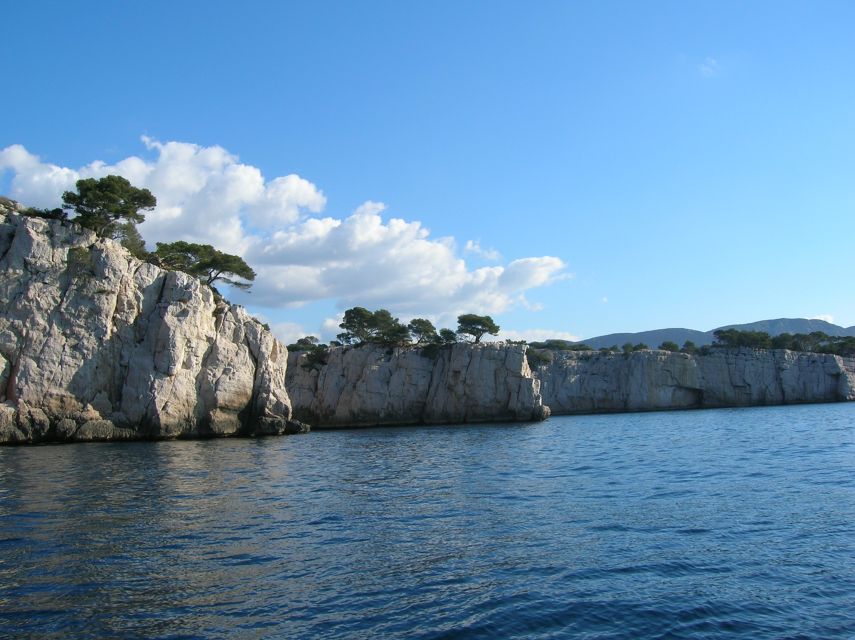 From Aix: Cassis Boat Ride & Provence Wine Tasting Day Tour - The panoramic Calanques boat cruise: the day’s visual payoff