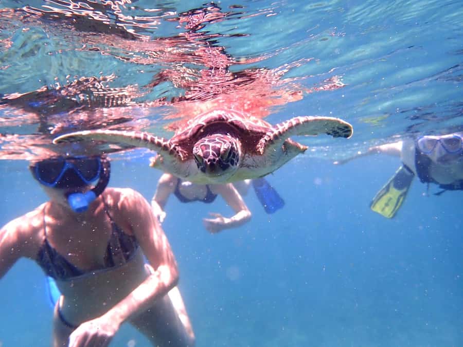From Al-Seeb: Dimaniyat Islands Boat Trip with Snorkeling - What to bring so the day stays easy