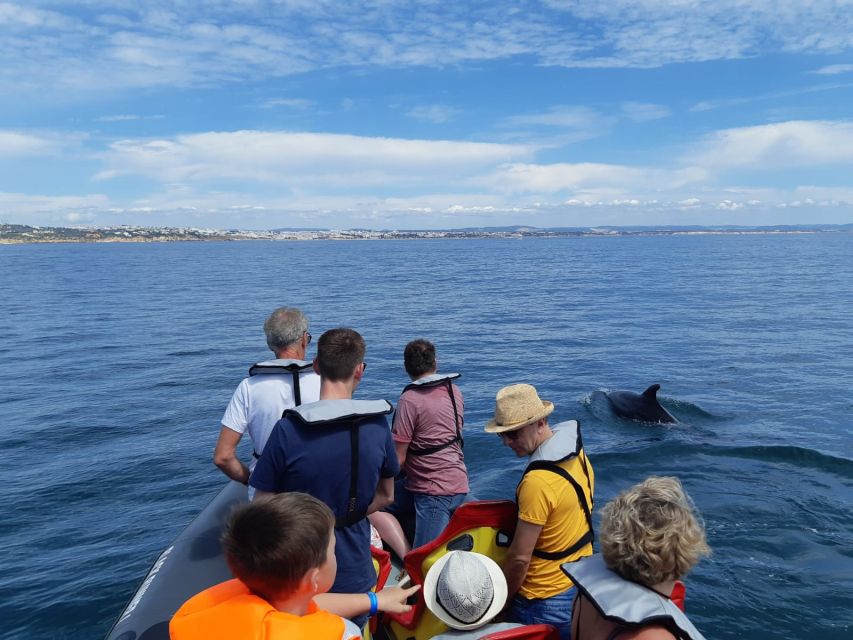 From Albufeira: Benagil Caves and Dolphins Guided Boat Tour - Guide and Skipper Energy: Humor, Stories, and Sea-Savvy Driving
