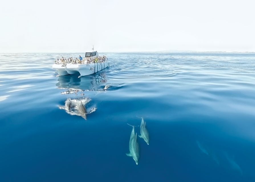 From Albufeira: Dolphins and Caves 2.5-Hour Boat Trip - Caves and Sea Cliffs: Why the Algarve Coast Looks Different From Deck