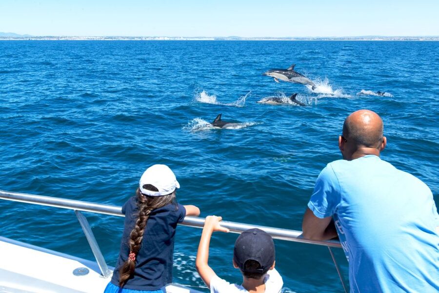 From Albufeira: Dolphins and Caves 2.5-Hour Boat Trip - Speed, Splash, and Comfort: What the 2.5 Hours Can Feel Like