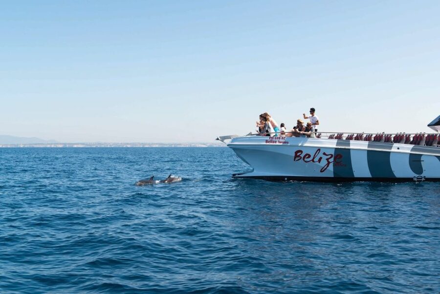 From Albufeira: Dolphins and Caves 2.5-Hour Boat Trip - Getting the Best Views: Simple Seating Tips That Actually Help