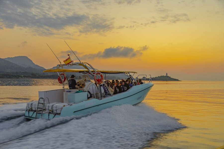 From Alcudia: Sunrise Dolphin Watching Boat Tour - Out on the water at first light: what the sailing feels like
