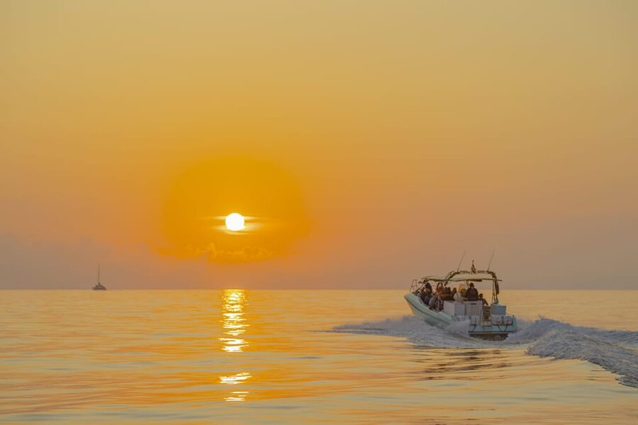 From Alcudia: Sunrise Dolphin Watching Boat Tour - Dolphin watching in Alcúdia Bay: getting close without acting like you own the ocean