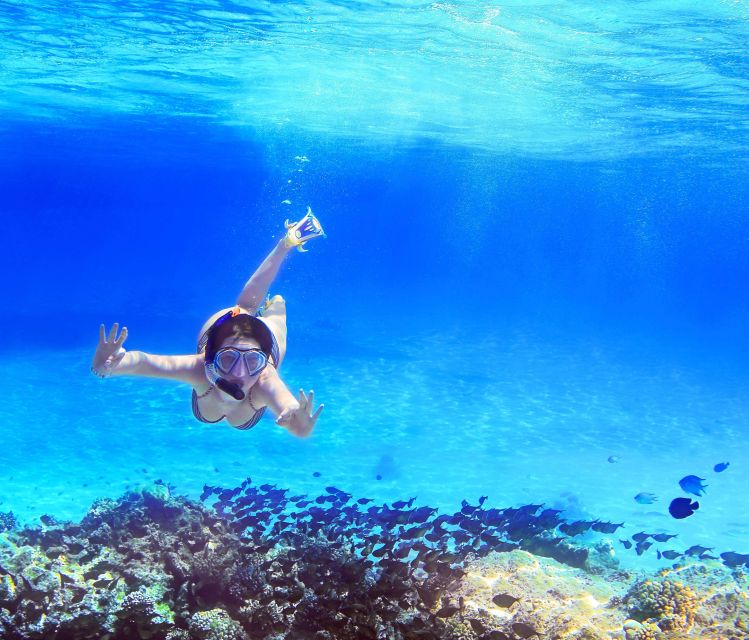 From Amalfi: Capri Island Boat Tour with Snorkeling & Drinks - Coastline highlights on the way to Capri: the story beats you’ll actually notice