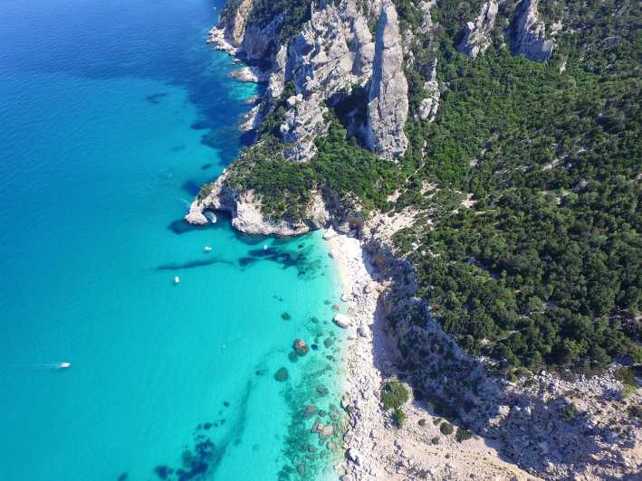 From Arbatax: Full-Day Guided Boat Tour of the Baunei Coast - Key things that make this Baunei coast boat tour worth your time