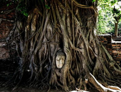 From Bangkok: Ayutthaya Heritage Tour with Sunset Boat Ride - Price and What $37 Covers (So You Don’t Do Math All Day)