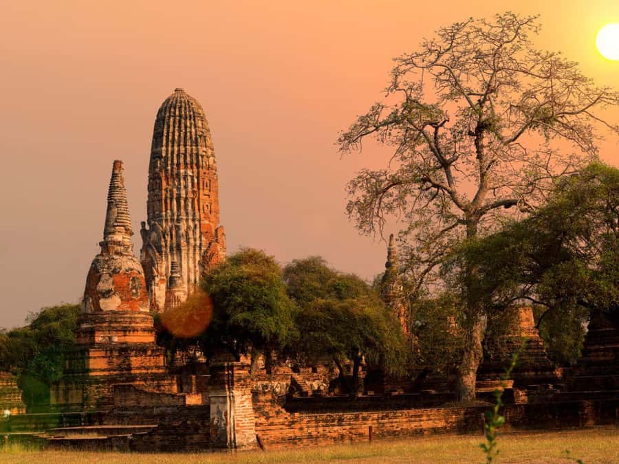 From Bangkok: Ayutthaya Temples and Boat Tour with Lunch - Should you book this Ayutthaya Temples and Boat Tour from Bangkok?