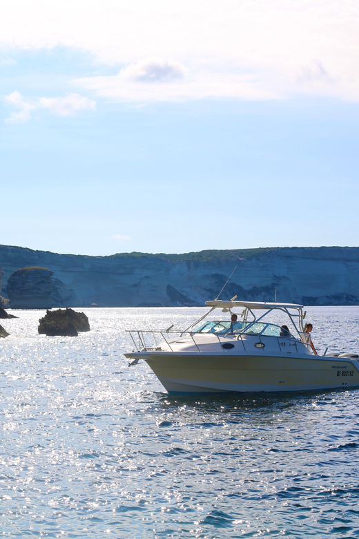 From Bonifacio: Lavezzi Islands and Bonifacio Boat Tour - The Lavezzi marine reserve: what makes it special from the boat