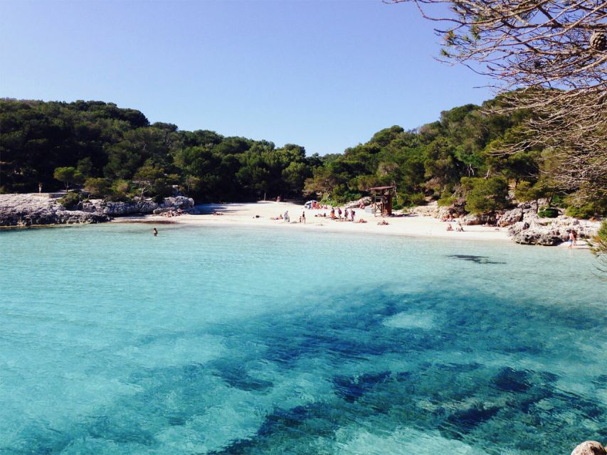 From Cala Galdana: 2-Hour Glass-Bottom Boat Trip - Key highlights worth waking up for