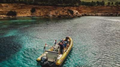 From Can Picafort: Dolphin Watching and Cave Boat Trip - The Speedboat Ride: Fun, Fast, and Sometimes Splashy