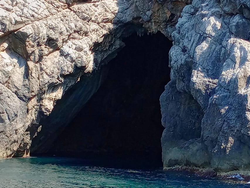 From Can Picafort: Dolphin Watching and Cave Boat Trip - Sunrise Option: Early Light Over the Mediterranean