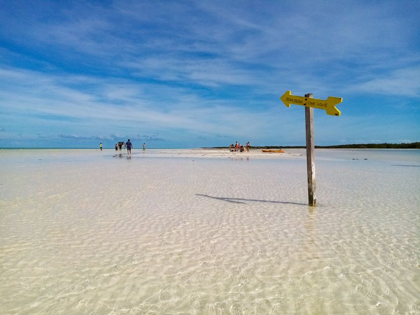 From Cancun or Puerto Morelos: Holbox Boat Tour with Lunch - Punta Mosquito: Photo Stop, Lunch, and a Guided Nature Reality Check