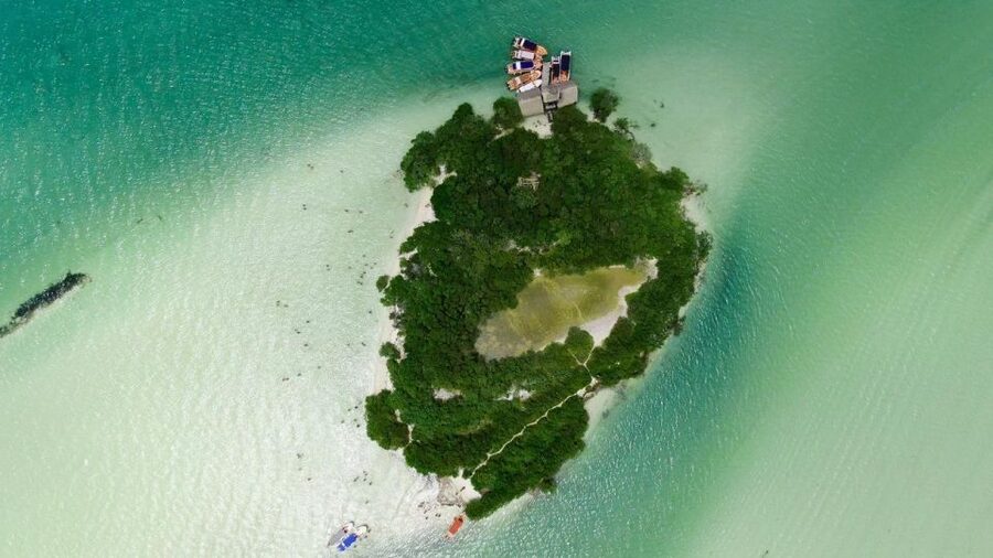 From Cancun or Puerto Morelos: Holbox Boat Tour with Lunch - Food, Drinks, and Sea-Sense: What Lunch Feels Like on Water