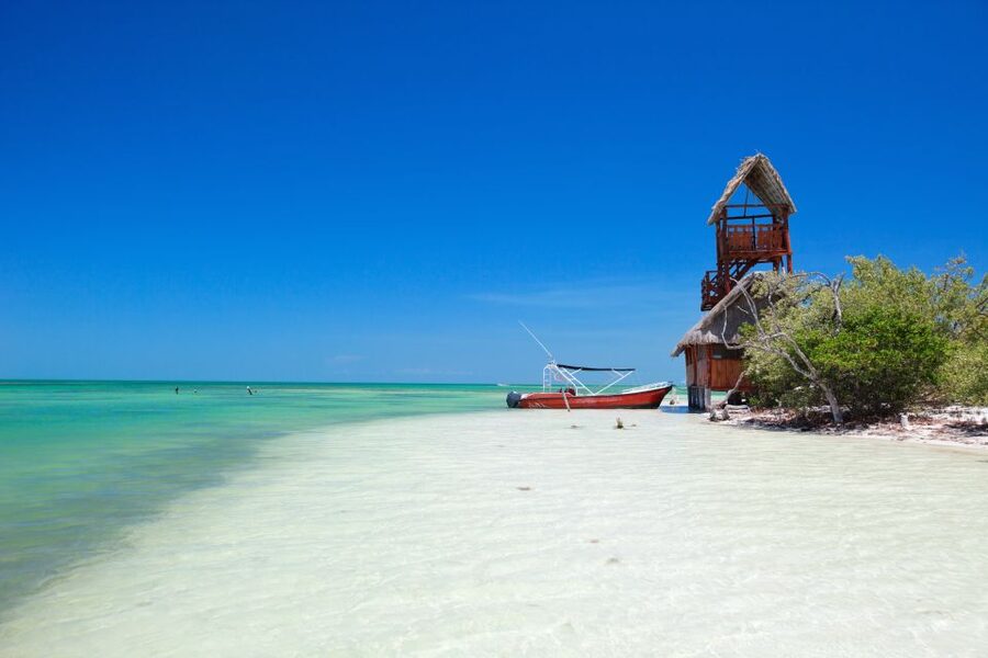 From Cancun or Puerto Morelos: Holbox Boat Tour with Lunch - Price and Value: What You Pay for the $104 Ticket (and the $40 Surcharge)