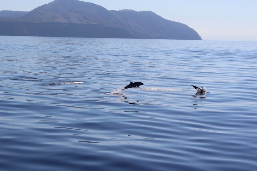 From Cefalù: Salina, Panarea, Stromboli Tour with Boat Ride - Price and Value: What You’re Really Buying