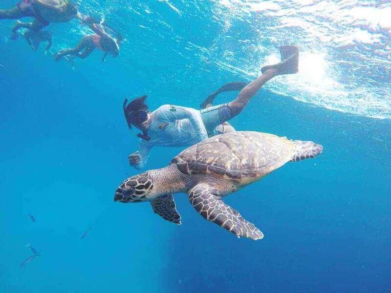 From Cozumel: 3 Reefs Boat Tour with Drinks and Snorkeling - Key points to know before you go