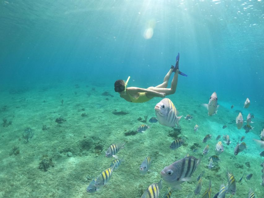 From Cozumel: 3 Reefs Boat Tour with Drinks and Snorkeling - Safety and how the crew keeps things organized