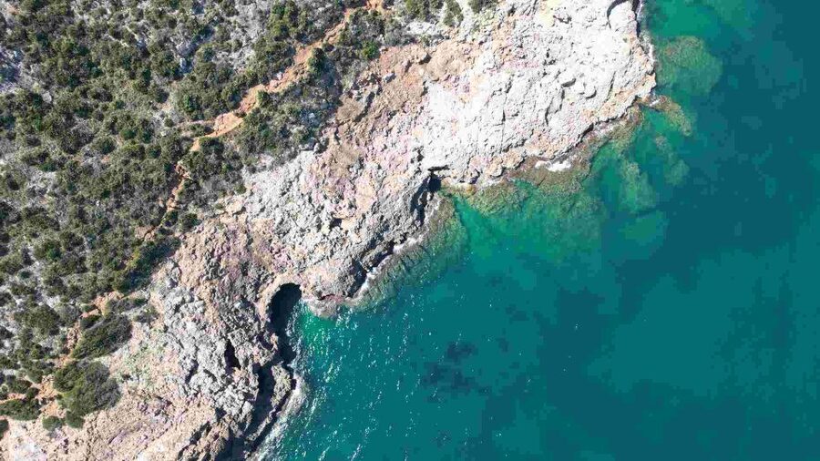 From Denia: Boat Trip to Tallada Cave with Optional Swim - The Dénia Marine Reserve and the Swim Stop (When It Works)