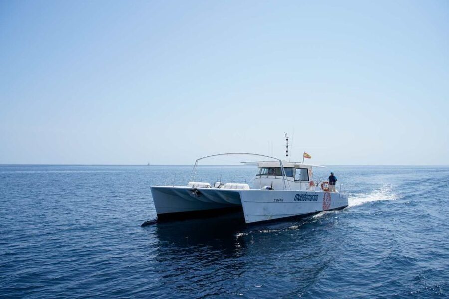 From Denia: Boat Trip to Tallada Cave with Optional Swim - The Boat Experience: Catamaran, Deck Time, Music, and Sea Conditions