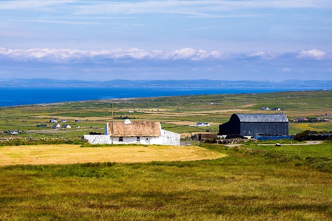 From Dublin: Cliffs of Moher, Bird of Prey & Aillwee Cave - Fanore Lunch at O’Donohue’s Pub: A Proper Pause, Not Just a Snack