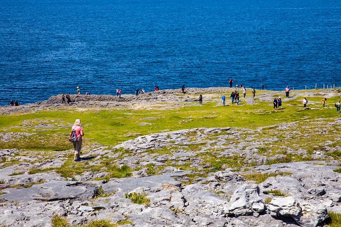 From Dublin: Cliffs of Moher, Bird of Prey & Aillwee Cave - Guides, Group Size, and Real-World Timing in the Coach Day