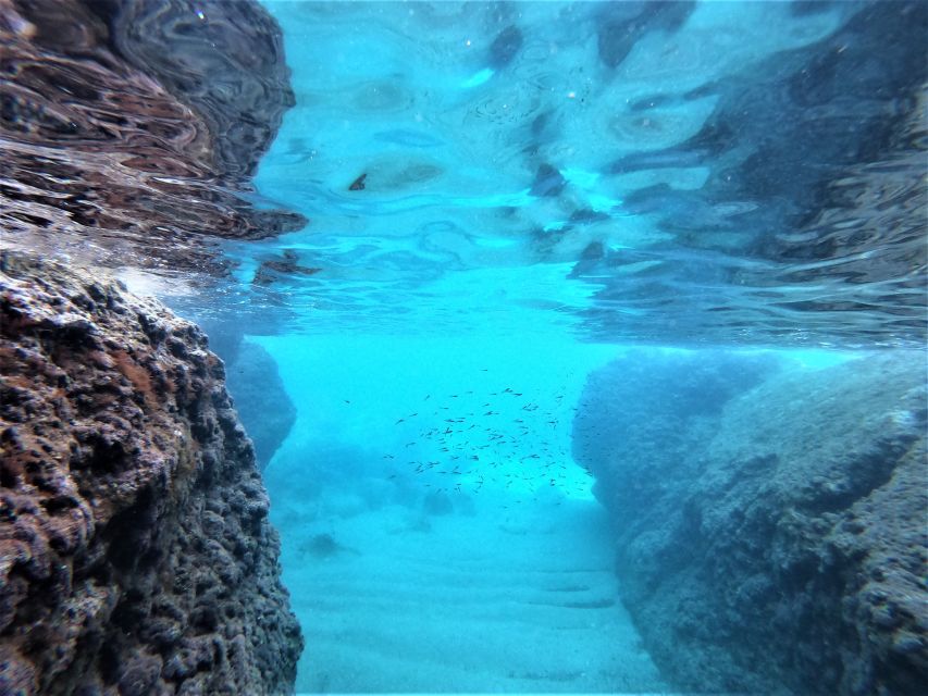 From Dubrovnik: 4-hour Elafiti Islands Private Boat Tour - What to pack and safety notes that actually matter