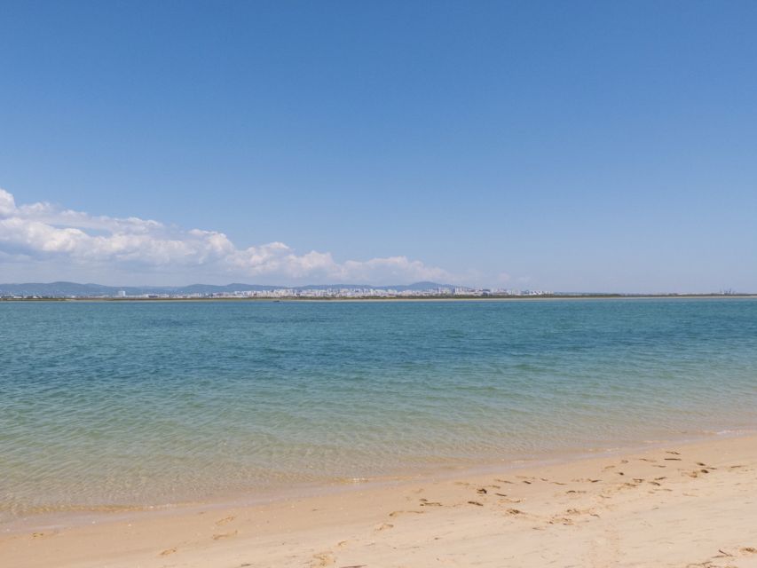From Faro: 2-Hour Guided Bird Watching Boat Trip - Why the Ria Formosa is the Algarve’s birdwatching hotspot