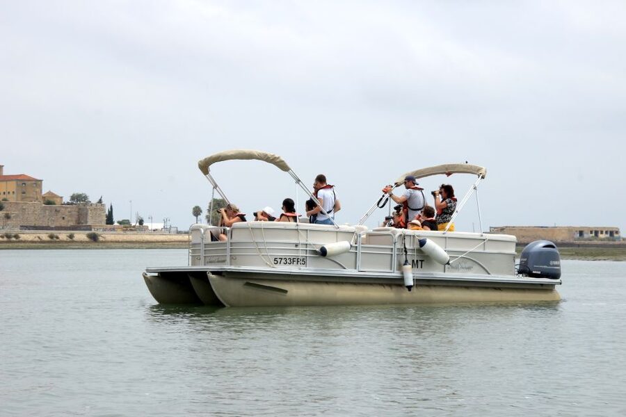 From Faro: 2-Hour Guided Bird Watching Boat Trip - Oyster and clam farms: why this route is about more than birds