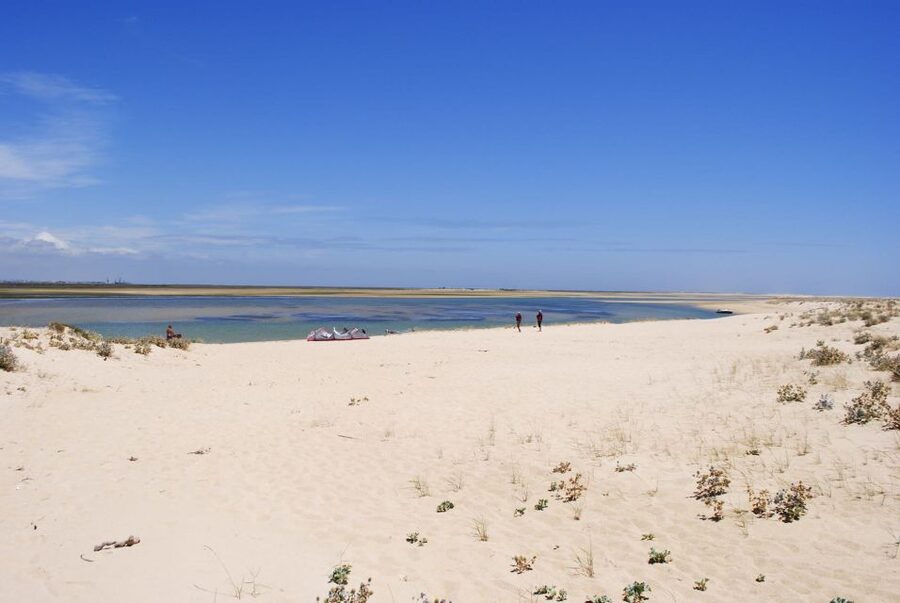 From Faro: 2-Hour Guided Bird Watching Boat Trip - What the guided cruise focuses on during bird watching