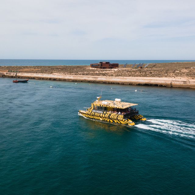 From Faro: Catamaran Boat Trip to Deserta Island with Stop - Ilha Deserta: the boat-only beach day you can actually afford