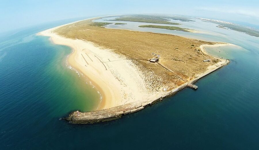From Faro: Catamaran Boat Trip to Deserta Island with Stop - Free time on Ilha Deserta: the 2-kilometer boardwalk and beach breaks
