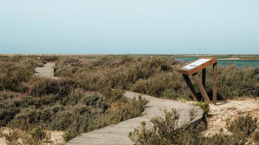 From Faro: Catamaran Boat Trip to Deserta Island with Stop - What to bring (and what not to expect) on Ilha Deserta