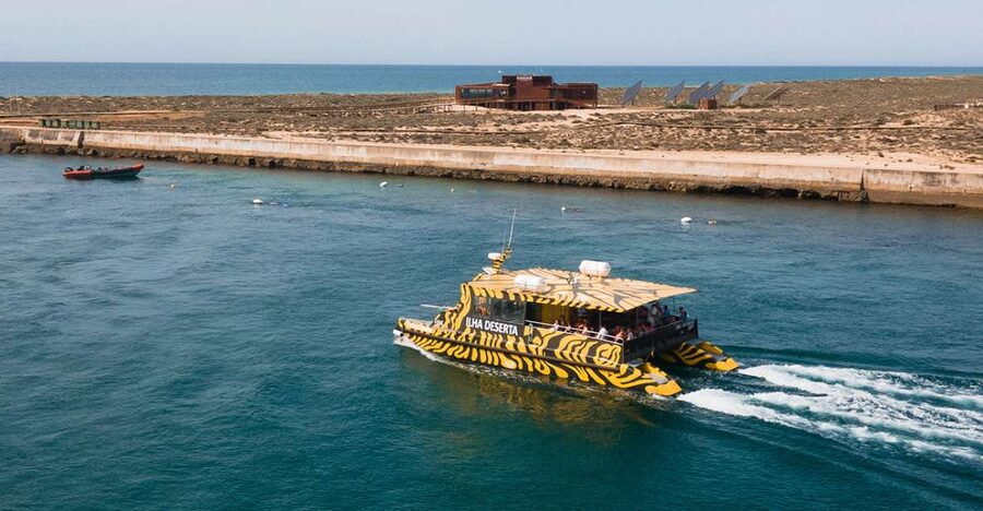 From Faro: Catamaran Boat Trip to Deserta Island with Stop - Ria Formosa Natural Park by catamaran: birds, plants, and calm water