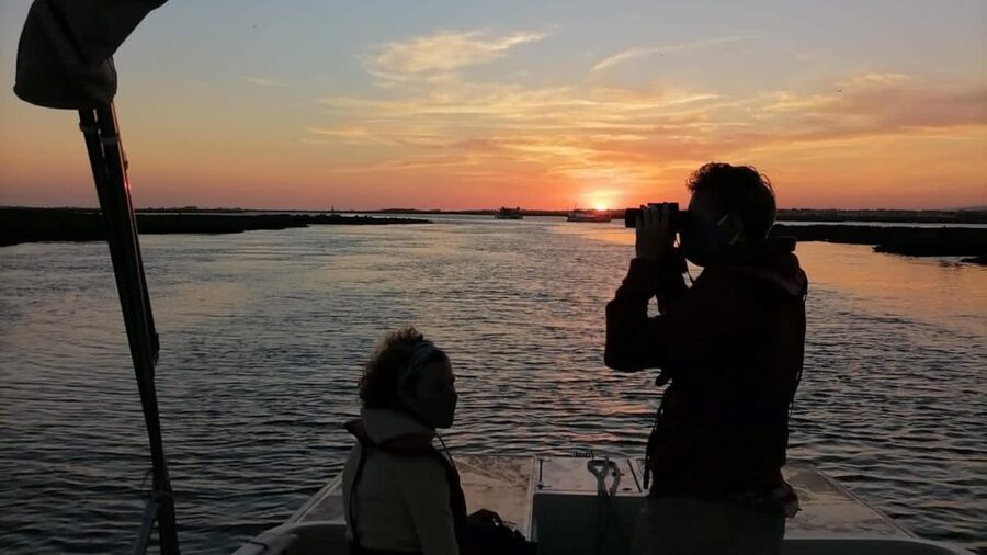 From Faro: Ria Formosa Sunset Boat Trip - Final Call: Should You Book the Faro Ria Formosa Sunset Trip?