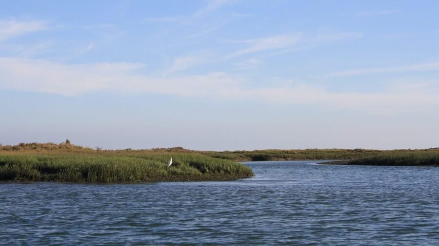 From Faro: Ria Formosa Sunset Boat Trip - How the 1-Hour Itinerary Flows (and What You’ll Do)
