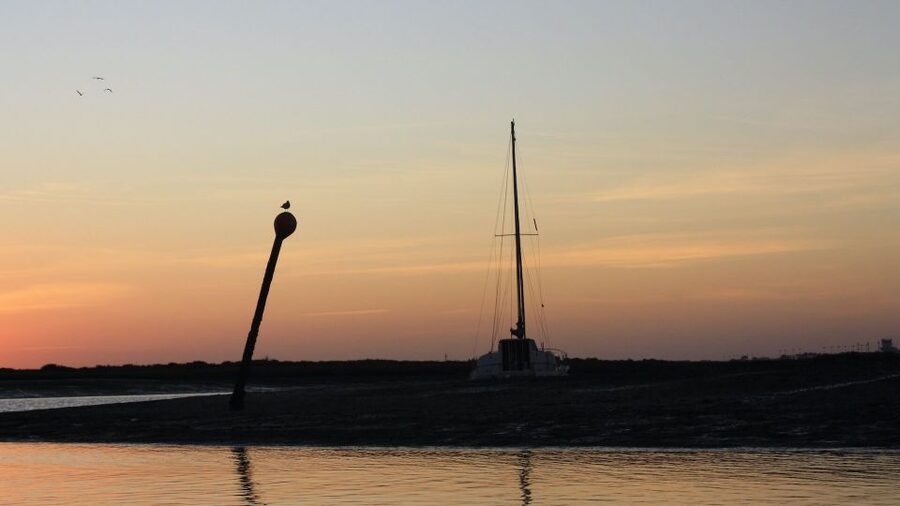 From Faro: Ria Formosa Sunset Boat Trip - Price and Value: Why $35 Can Make Sense Here